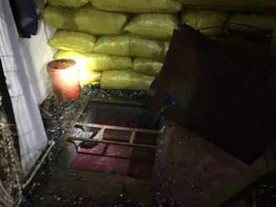 今年,央视两度关注!佛山高新区这家企业凭什么?
